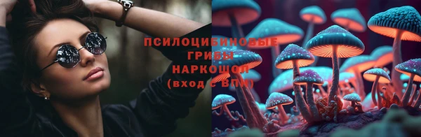 МДПВ Данков