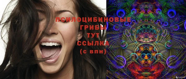 гашик Семёнов