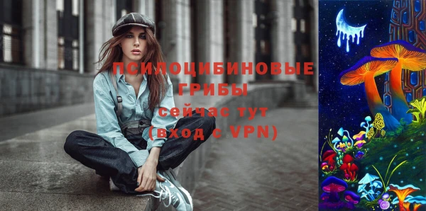 метадон Богородицк