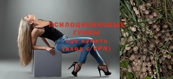 дурь Белокуриха